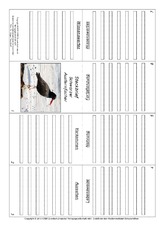 Faltbuch-Schwarzer Austernfischer.pdf